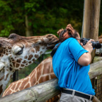 GiraffePhoto