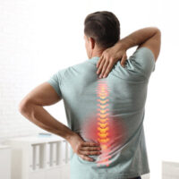 Spine5 Spine5