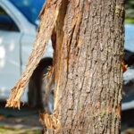Accident_Tree7